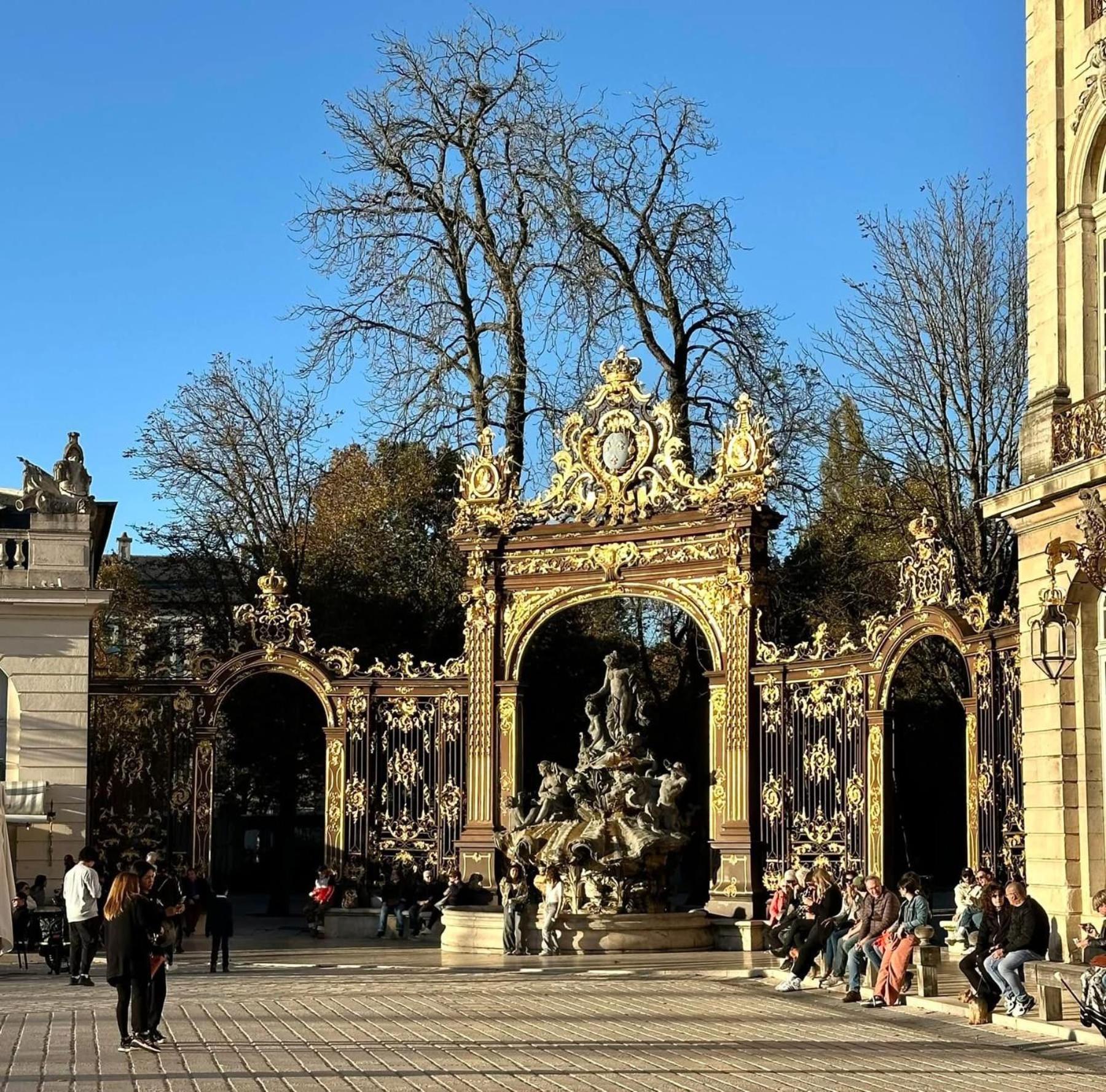 Petit Cocon Proche De Stanislas Nancy Eksteriør billede